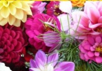 12% DISCOUNT AT FLOWERS DIRECT