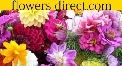 12% DISCOUNT AT FLOWERS DIRECT