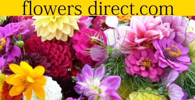 12 DISCOUNT AT FLOWERS DIRECT Forces Discount Offers