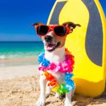 Jet2holidays – Military Discount Deals and Forces Savings