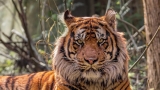Zoological Society of London – London Zoo Military Discount Deals and Forces Savings